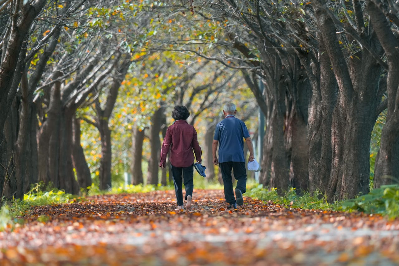 Senior couple strolling in a sunlit park under a canopy of colorful autumn leaves.